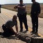 Lt. Josh Pollock and Deputy Mark Griever protecting the reptiles of the county!